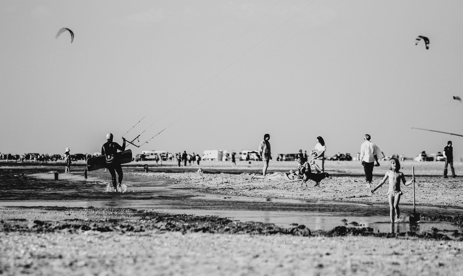 Beach full of people