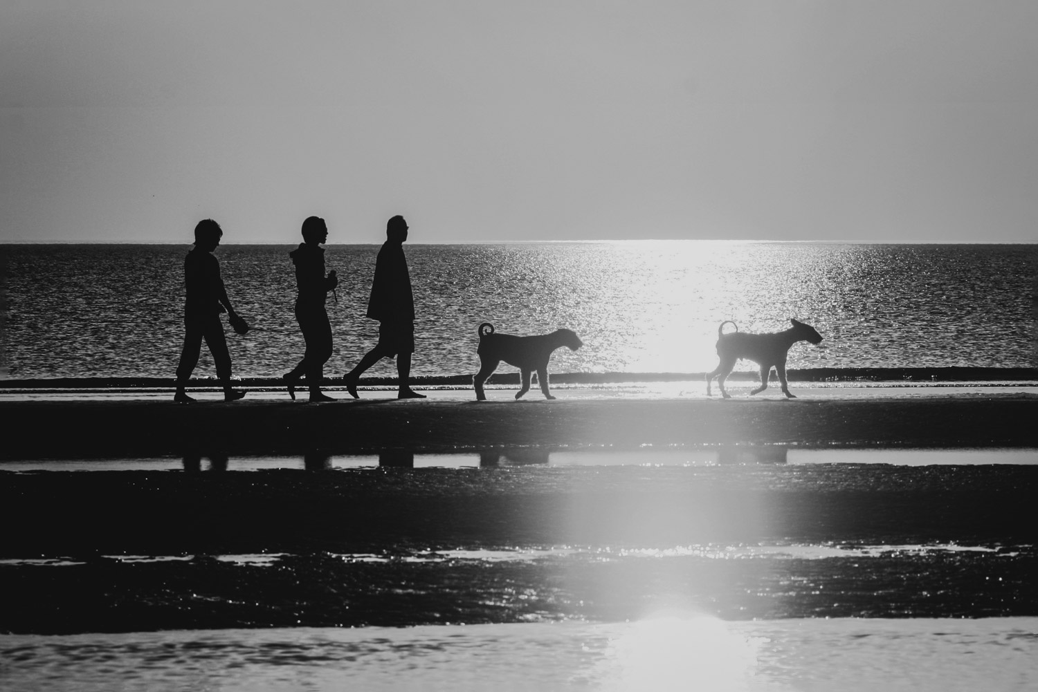 People walking dogs on the beach