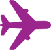 purple plane icon